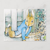 Beatrix Potter - Bunny Illustration Postkarte (Vorderseite)