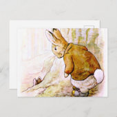 Beatrix Potter - Bunny Illustration Postkarte (Vorne/Hinten)