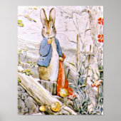 Beatrix Potter Die Geschichte von Benjamin Bunny P Poster (Vorne)