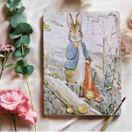 Beatrix Potter Die Geschichte von Benjamin Bunny P Postkarte