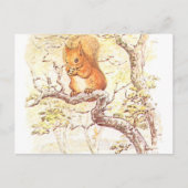 Beatrix Potter Eichhörnchenillustration Postkarte (Vorderseite)