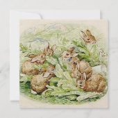 Beatrix Potter Geschichte der Flopsy Bunnies Mitteilungskarte (Vorderseite)