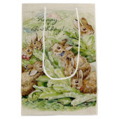Beatrix Potter Geschichte der Flopsy Bunnies Mittlere Geschenktüte (Rückseite)