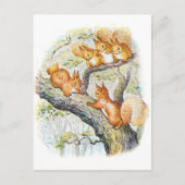 Beatrix Potter Illustration Nutkin + Eichhörnchen Postkarte (Vorderseite)