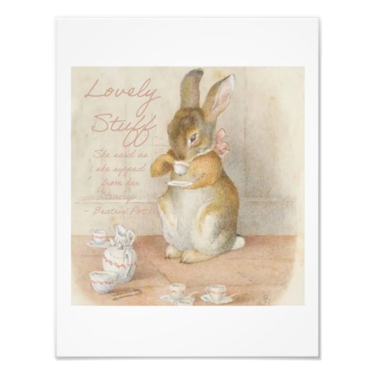 Beatrix Potter Peter Rabbit Bunny Tea Party Fotodruck (Vorne)
