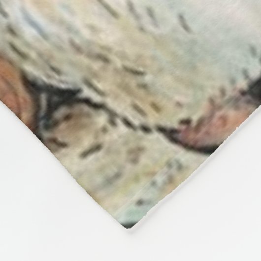 Beatrix Potter Peter Rabbit und Benjamin Bunny Fleecedecke (Ecke)