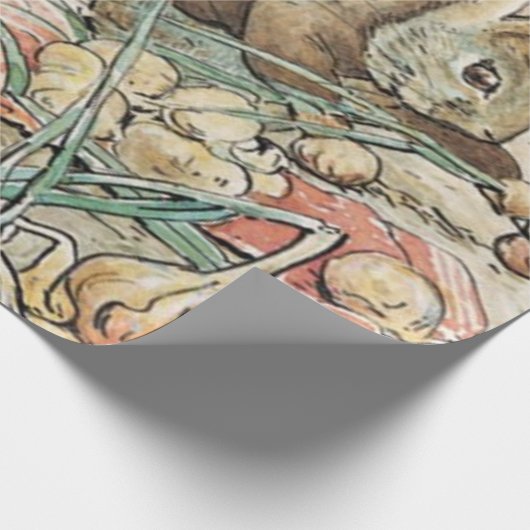 Beatrix Potter Peter Rabbit und Benjamin Bunny Geschenkpapier (Ecke)