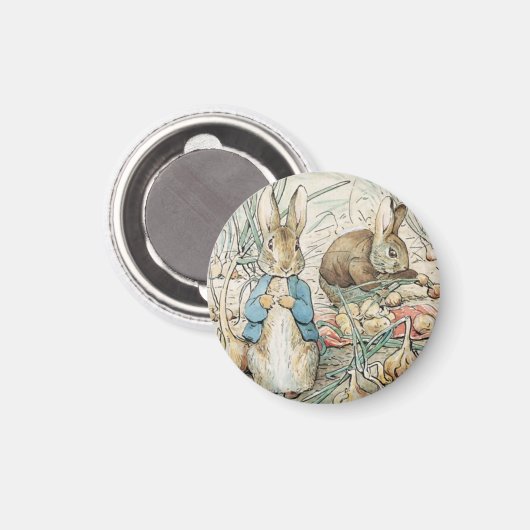Beatrix Potter Peter Rabbit und Benjamin Bunny Magnet (Vorderseite/Rückseite)