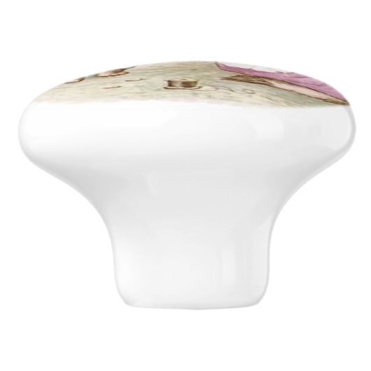 Beatrix Potter, Tom Kitten Keramik Knob Keramikknauf (Seitenansicht)