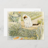 Beatrix Potter - weiße Katze Postkarte (Vorne/Hinten)