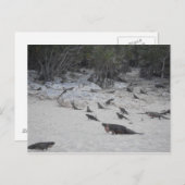 Beau Bahamas Postcard Postkarte (Vorne/Hinten)