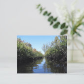 Beau Florida Everglades Postcard Postkarte (Stehend Vorderseite)