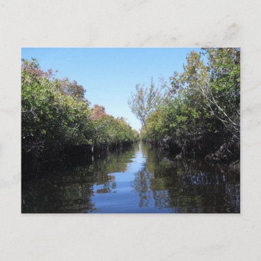 Beau Florida Everglades Postcard Postkarte (Vorderseite)