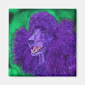 "Beau" - Poodle Magnet (Vorne)