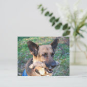 Beau Postkarte (Stehend Vorderseite)