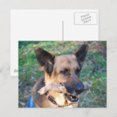 Beau Postkarte (Vorne/Hinten)