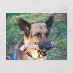 Beau Postkarte