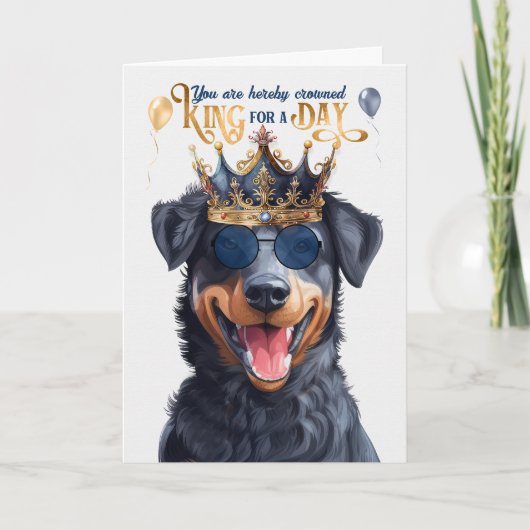 Beauceron Dog King for Day Funny Birthday Karte (Vorderseite)