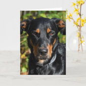 Beauceron Dog Portrait Karte (Gelbe Blume)