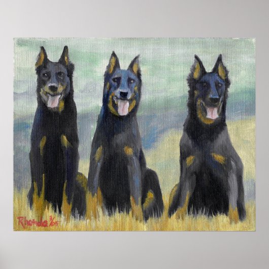 Beauceron Dog Portrait Poster (Vorne)
