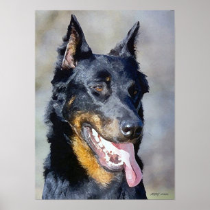 Beauceron Hundeporträt-Plakat-Druck Poster