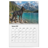 Beauceron-Kalender Kalender (Feb 2027)