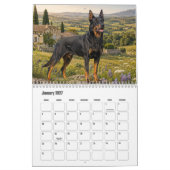 Beauceron-Kalender Kalender (Jan 2027)
