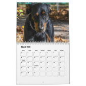 Beauceron-Kalender Kalender (Mär 2026)