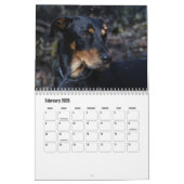 Beauceron-Kalender Kalender (Feb 2026)