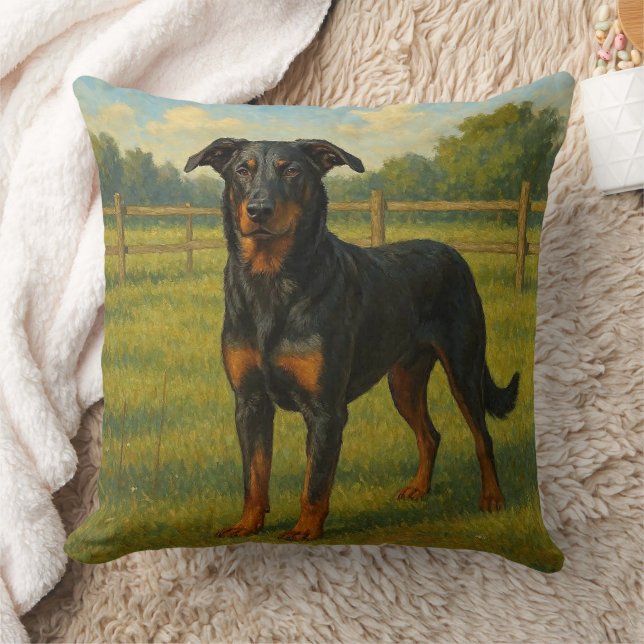 Beauceron Kissen (Decke)
