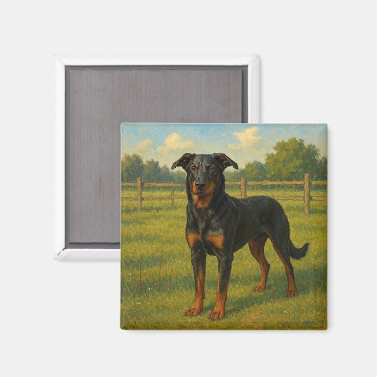 Beauceron Magnet (Vorderseite/Rückseite)