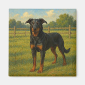 Beauceron Magnet (Vorne)