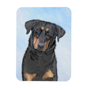 Beauceron Malerei - Niedliche Original Hunde Kunst Magnet