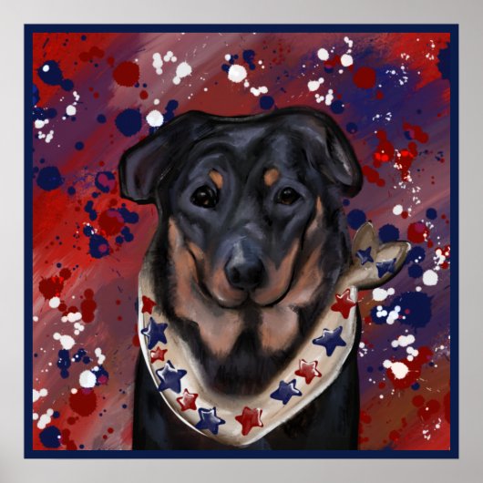 Beauceron Poster (Vorne)
