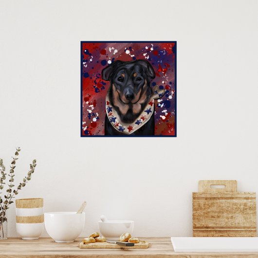 Beauceron Poster (Küche)