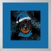 Beauceron Poster (Vorne)