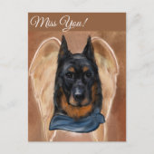 Beauceron Postkarte (Vorderseite)