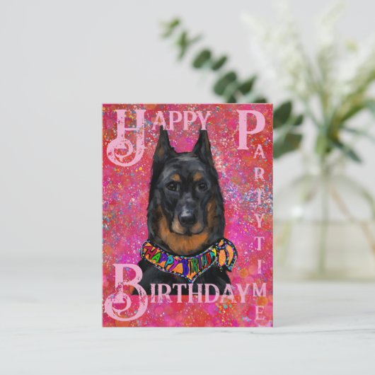 Beauceron Postkarte (Stehend Vorderseite)
