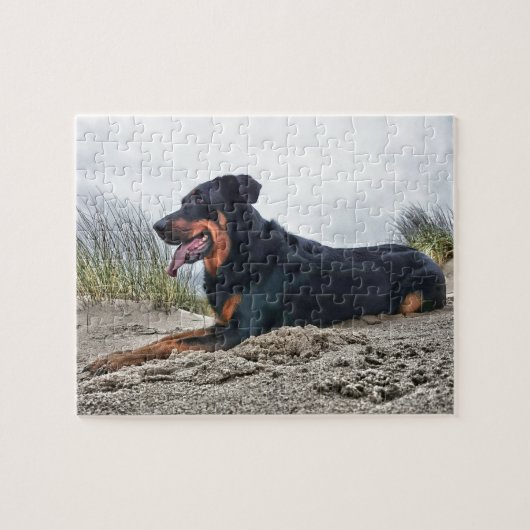 Beauceron Puzzle (Horizontal)