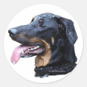 beauceron runder aufkleber
