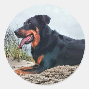 Beauceron Runder Aufkleber