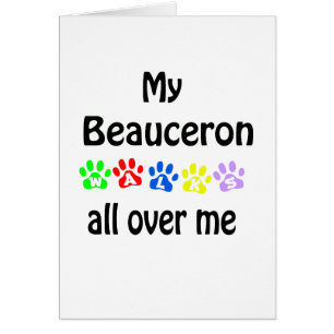 Beauceron Walks Design