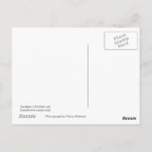 Beaufortia Postcard Postkarte (Rückseite)