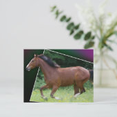 Beauteous Pferdepostkarte Postkarte (Stehend Vorderseite)