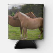 Beauties Dosenkühler (Vorderseite)