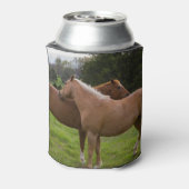 Beauties Dosenkühler (Kanne Rückseite)