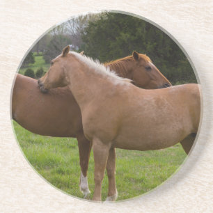 Beauties Getränkeuntersetzer