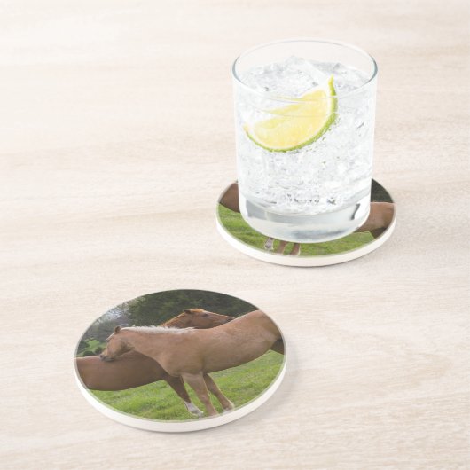 Beauties Getränkeuntersetzer (Seite)