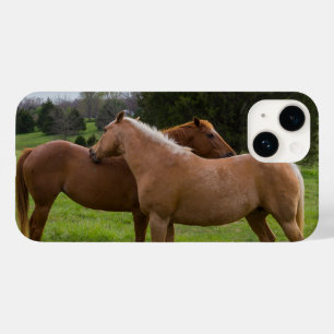 Beauties iPhone Case