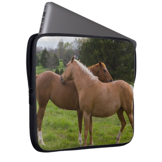 Beauties Laptopschutzhülle (Vorne Rechts)